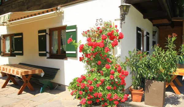 02ferienwohnung_unken_terrasse_blumen